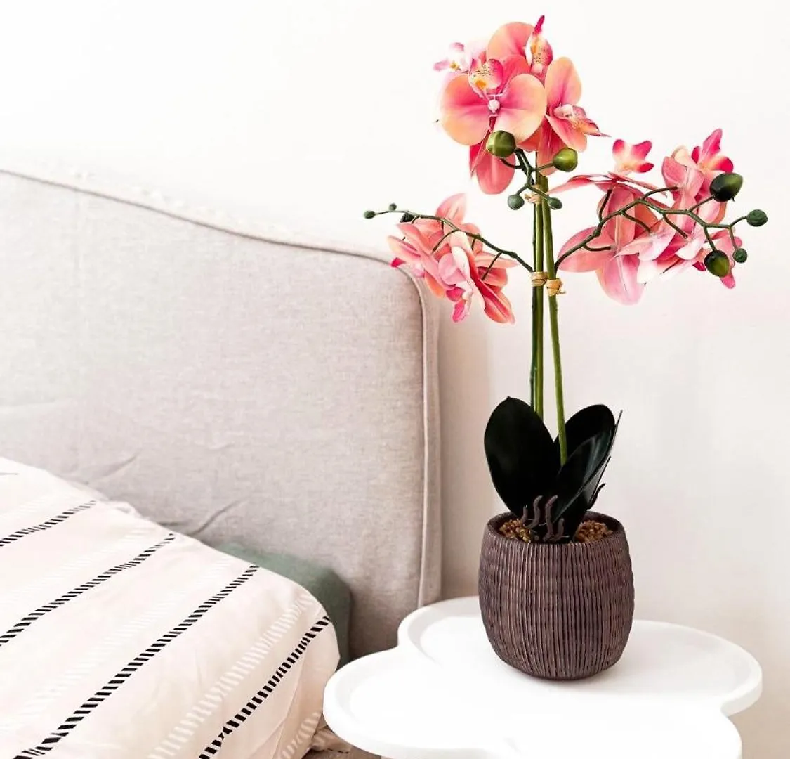 Stylish Home On The Waterfront Near Antwerp Historic Center Casa vacanze